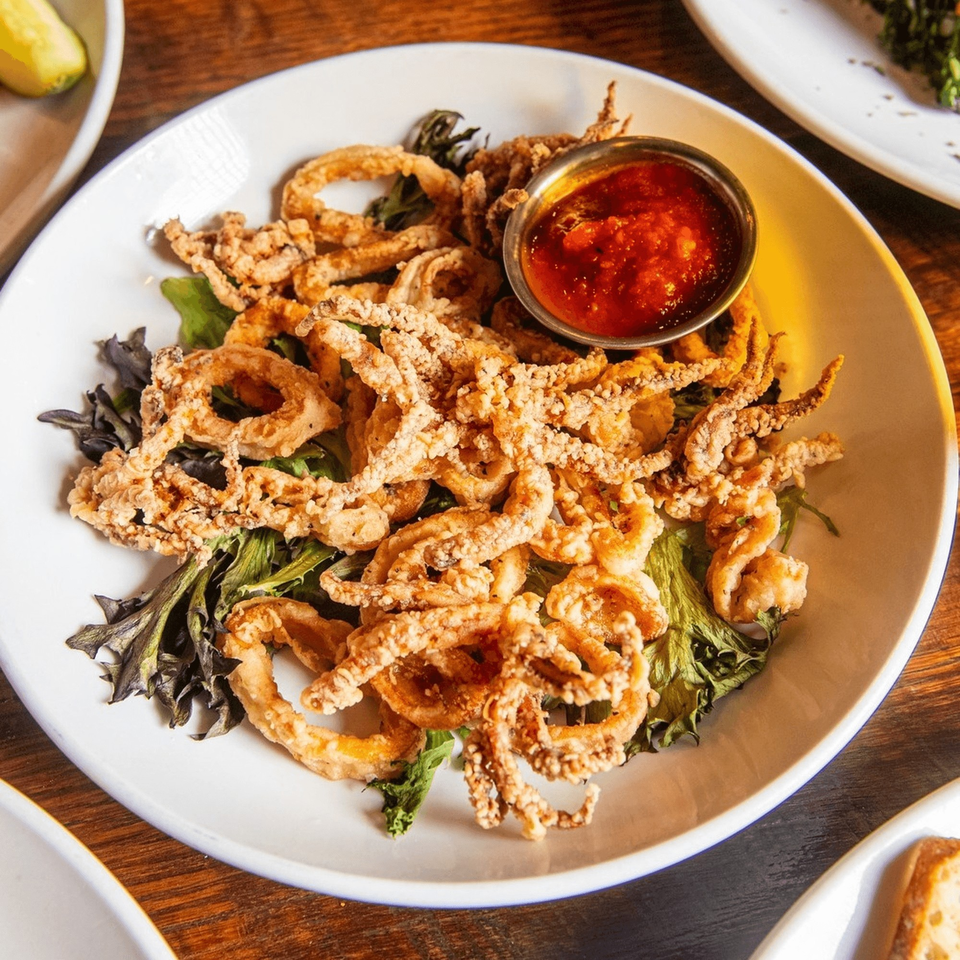Crispy fried calamari with a side of red marinara sauce on a bed of greens.